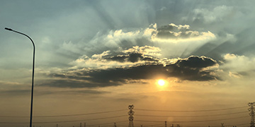 灌阳悦旭技术优势